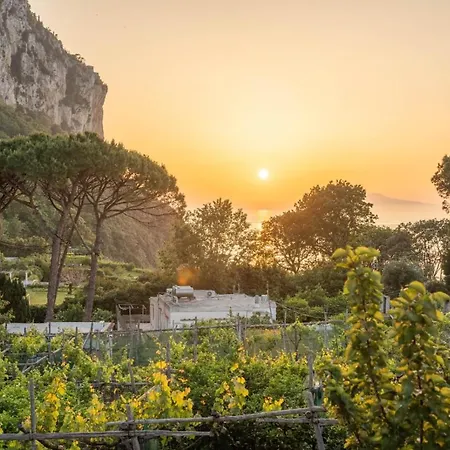 Apartman Casa Vacanza La Scogliera Capri