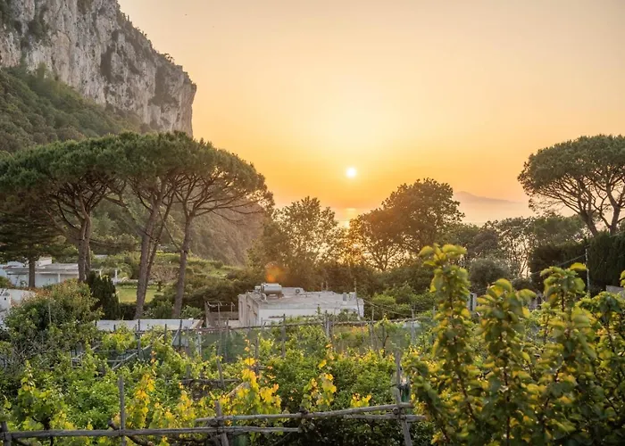 Daire Casa Vacanza La Scogliera Capri